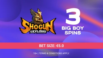 3 BIG BOY SPINS (€5 per spin)