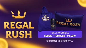 Full Fan Bundle – Hoodie + Pillow + Tumbler