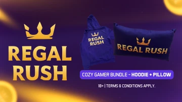 Cozy Gamer Bundle – Hoodie + Pillow
