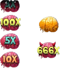 Brain Stackes Feature