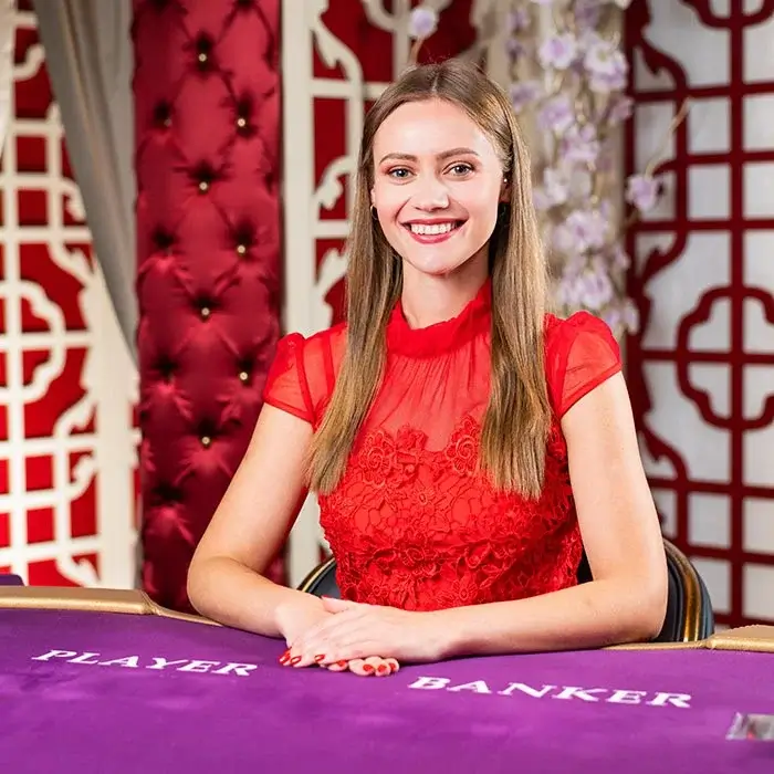 No Commission Baccarat Evolution Gaming