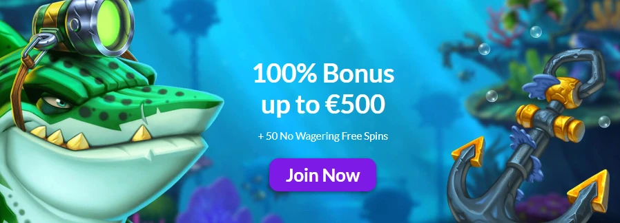 Welcome bonus at Puntit 