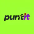 Puntit