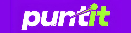 puntit-horizontal-logo